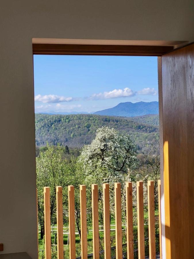 Guest House Domacija Krnc Hrib pri Hinjah 외부 사진